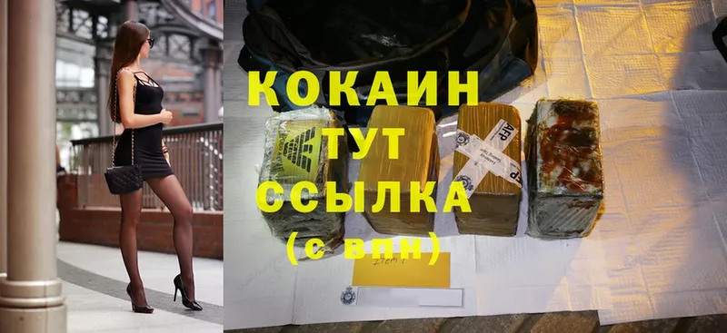 дарнет шоп  Новомичуринск  Cocaine Эквадор 